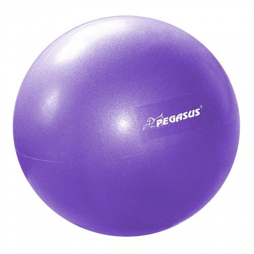 Pegasus® Μπάλα Γυμναστικής Pilates 25cm (Μωβ)